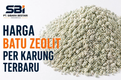 Definisi Molekuler dan Pembentukan Zeolit