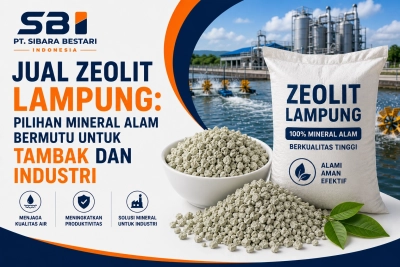 Jual Zeolit Lampung: Pilihan Mineral Alam Bermutu untuk Tambak dan Industri