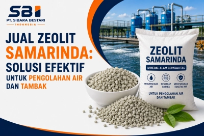 Jual Zeolit Samarinda: Solusi Efektif untuk Pengolahan Air dan Tambak