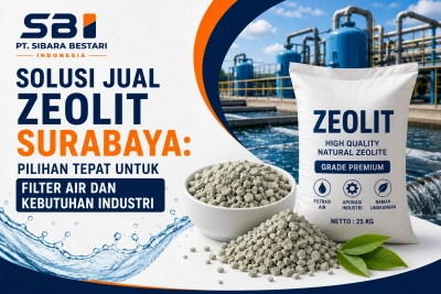 Solusi Jual Zeolit Surabaya: Pilihan Tepat untuk Filter Air dan Kebutuhan Industri