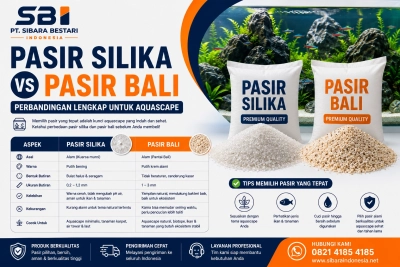 pasir silika vs pasir bali